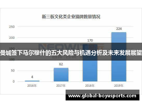 曼城签下马尔穆什的五大风险与机遇分析及未来发展展望