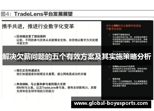 解决欠薪问题的五个有效方案及其实施策略分析